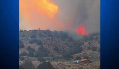Bug Fire grows along California-Nevada border near Reno; state of emergency declared in Nevada
