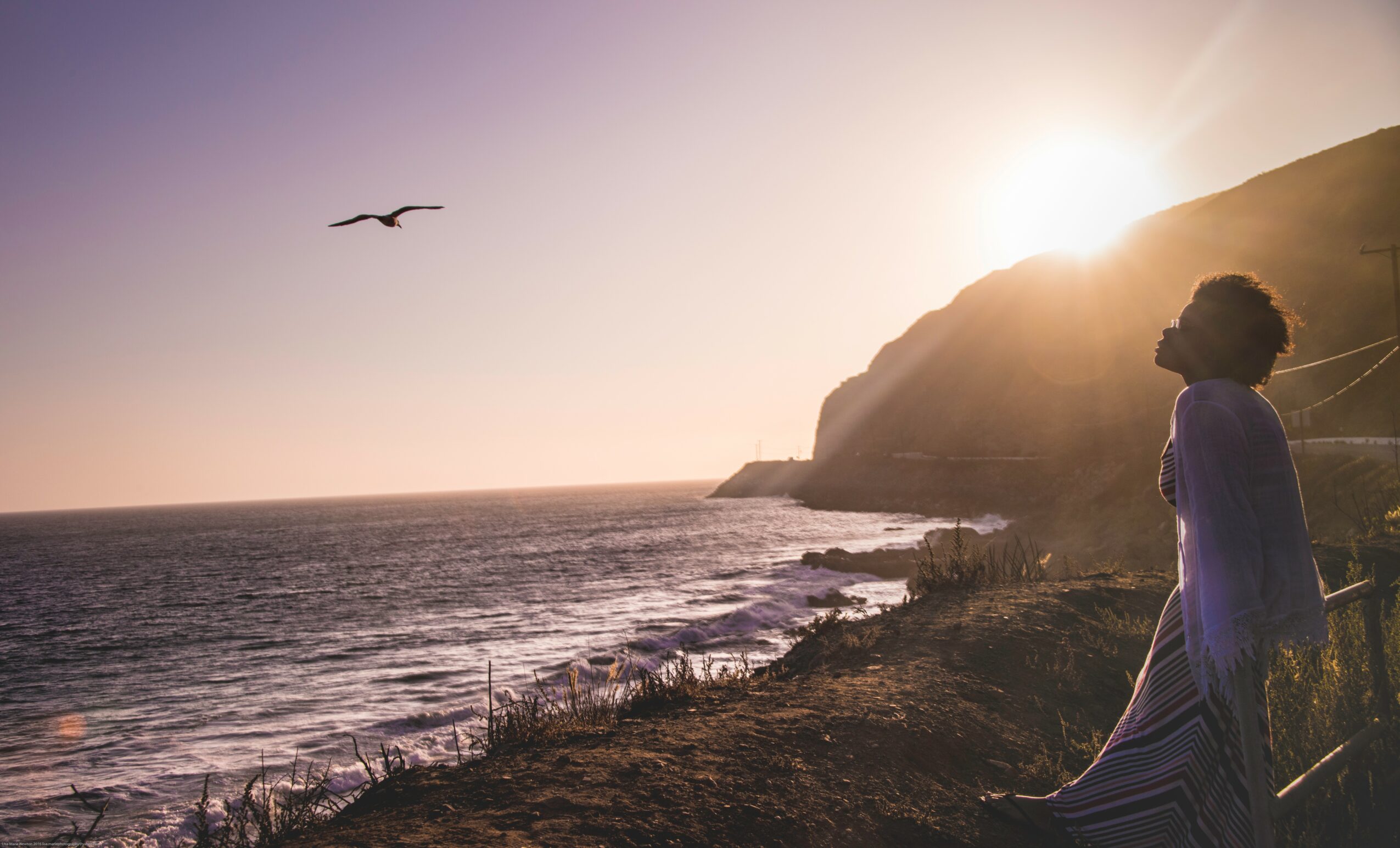 Person standing on a coastal path at sunset, with a bird flying overhead and cliffs in the background.
