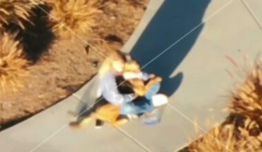 Southern California city deploys drone to track down lost pets