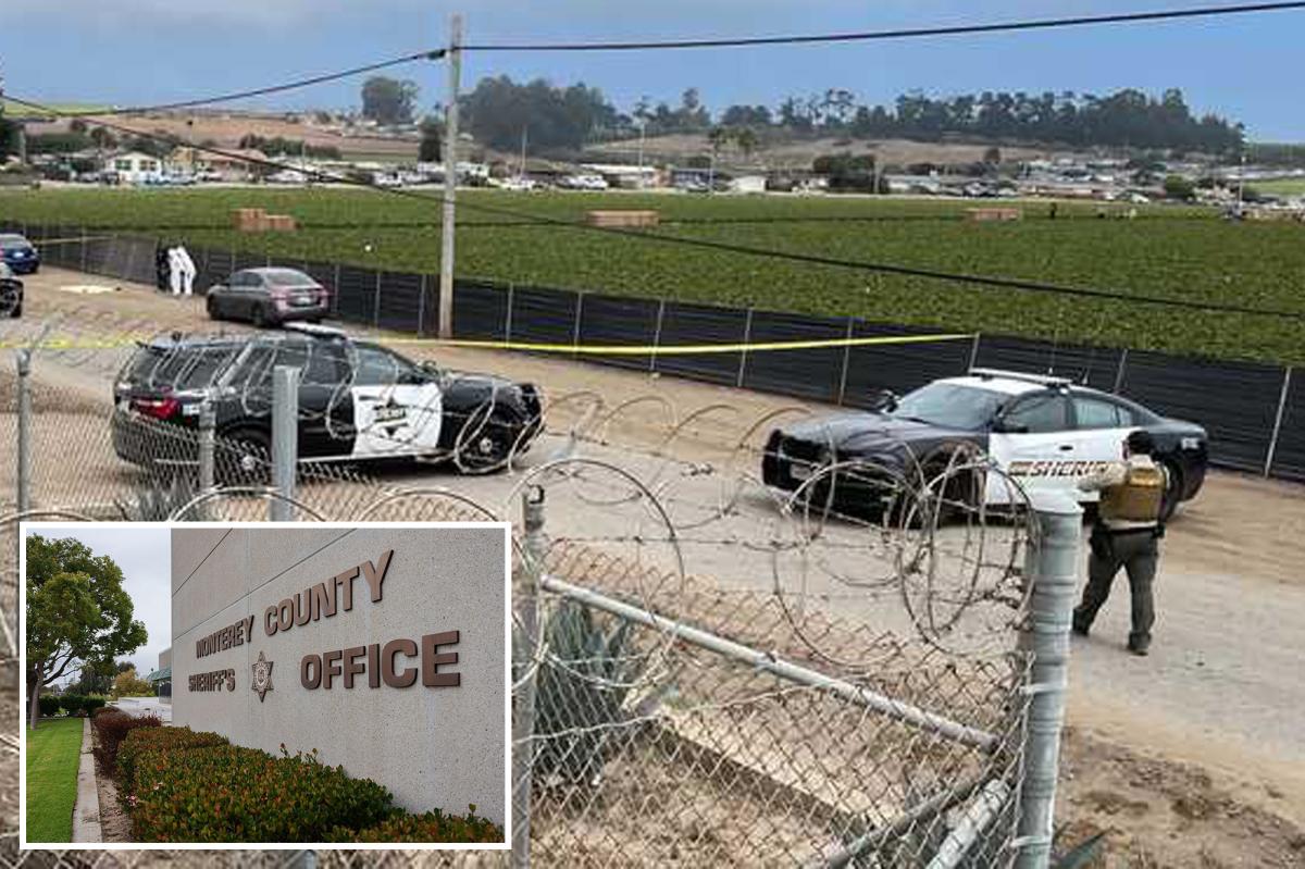 Human remains, including infant, discovered in Monterey County