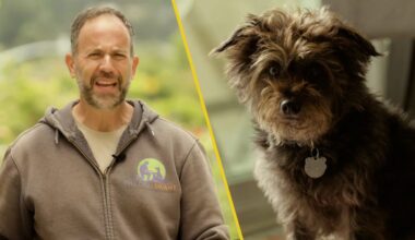 The Dog Savant on what to know about bringing your new shelter pet home – NBC 7 San Diego