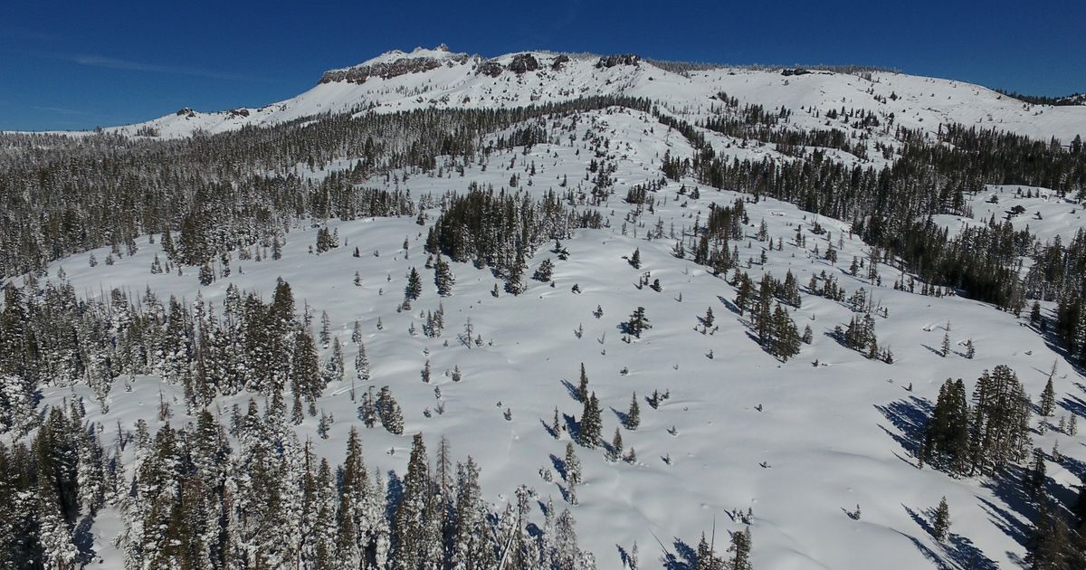 Backcountry guide company faces $150K in fines after California’s deadliest modern avalanche :: WRAL.com