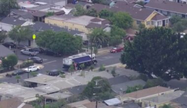 Officer bitten, dog shot after LAPD responds to domestic dispute call in South LA