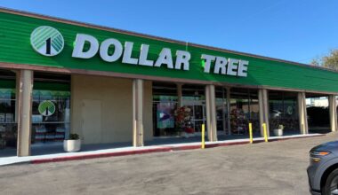 San Diego woman sues Dollar Tree over ‘gooning’ incidents locally and across the U.S. – NBC 7 San Diego