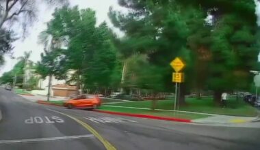 LA couple says driver jumped the curb and chased them while they walked their dog