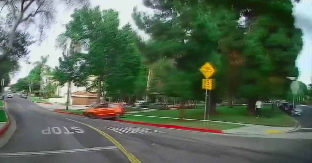 LA couple says driver jumped the curb and chased them while they walked their dog