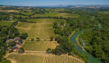 California appeals court rules Sonoma County must conduct environmental review of its well water ordinance