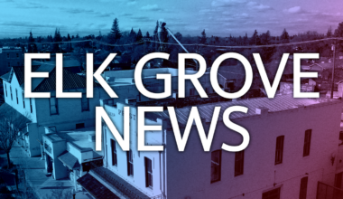 Hui Lau Shan brings Hong Kong mango desserts to Elk Grove