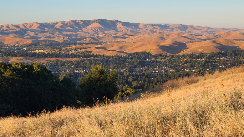 A picture of the Bishop Ranch Open Space Preserve in San Ramon