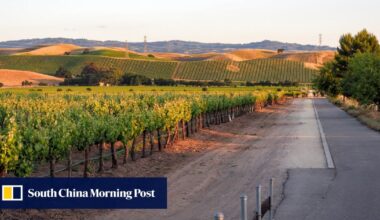 Grape expectations: California winemakers optimistic for China export resurgence