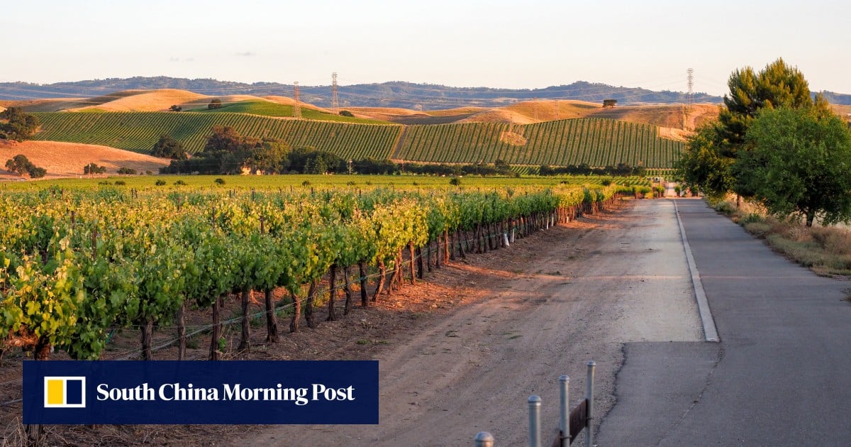 Grape expectations: California winemakers optimistic for China export resurgence