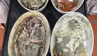 BREAKING NEWS: Workers File New Safety Complaint on Alleged Maggots, Mold, Cockroaches and Other Issues at LAX Caterer Flying Food Group