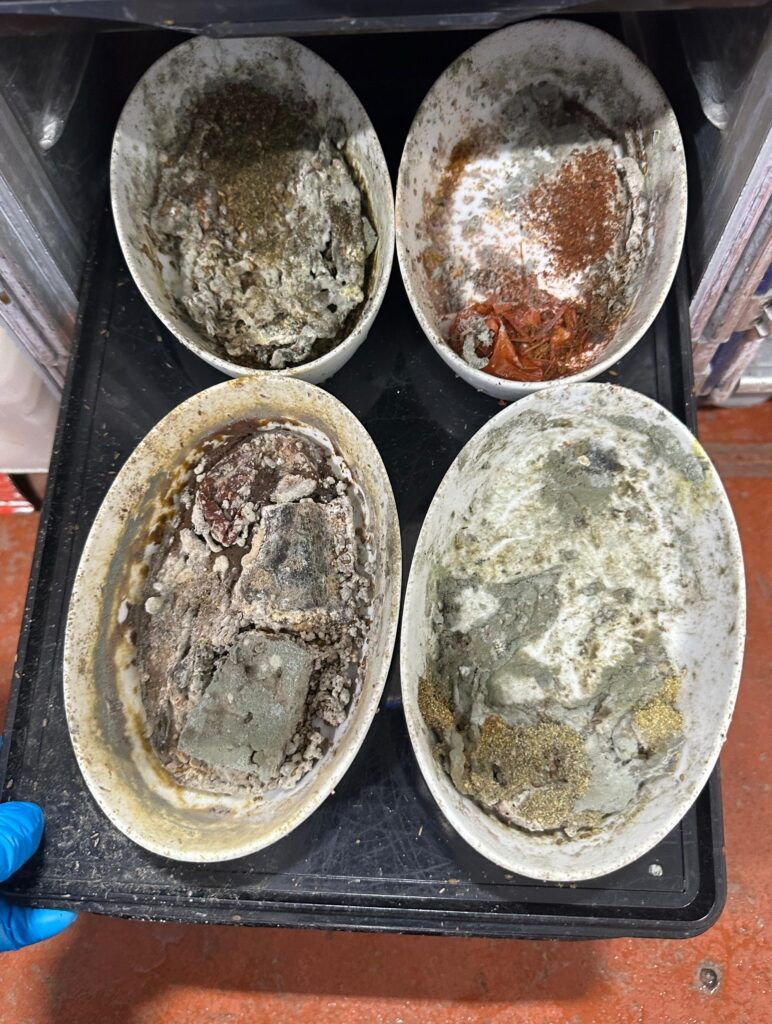 BREAKING NEWS: Workers File New Safety Complaint on Alleged Maggots, Mold, Cockroaches and Other Issues at LAX Caterer Flying Food Group