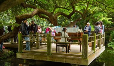 11th Annual Flower Piano to Bring Music to SF Botanical Garden Once More