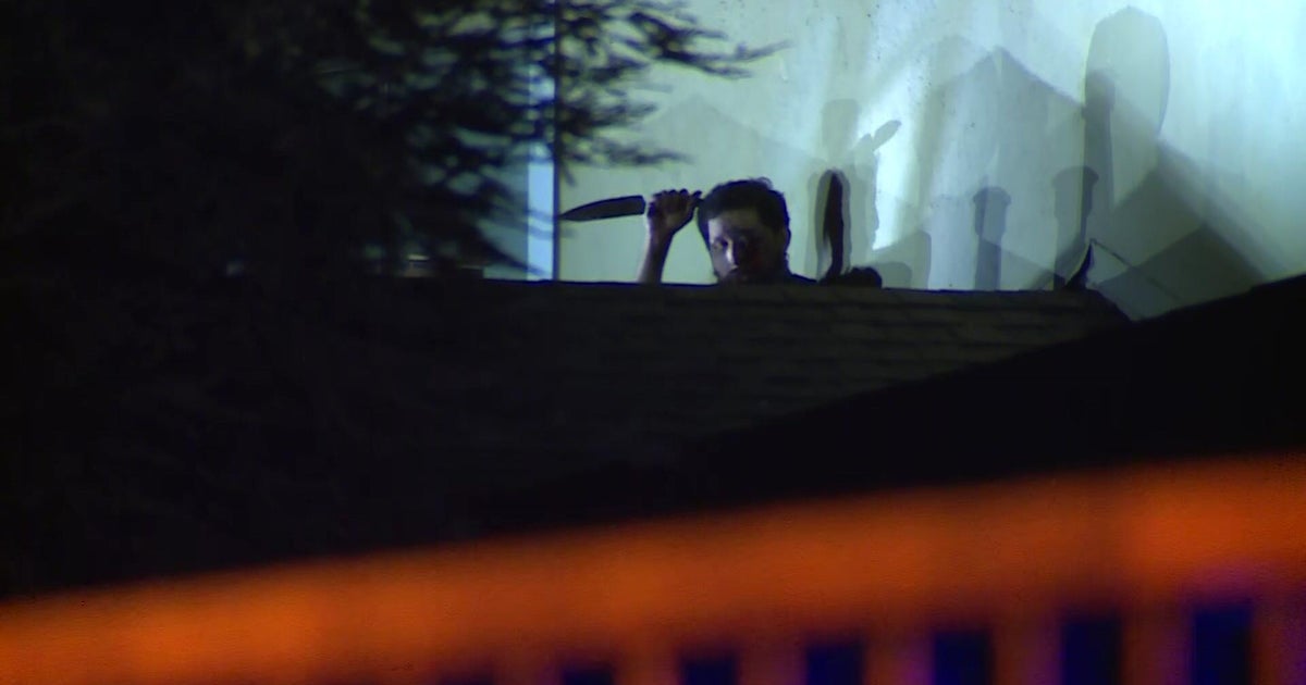 for-web-man-with-knife-sacramento-roof.jpg