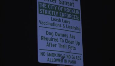 3-year-old hospitalized after dog attack at Rocklin park