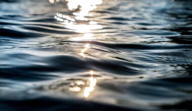 Body of missing teen rafter recovered from state park waterway in San Joaquin County