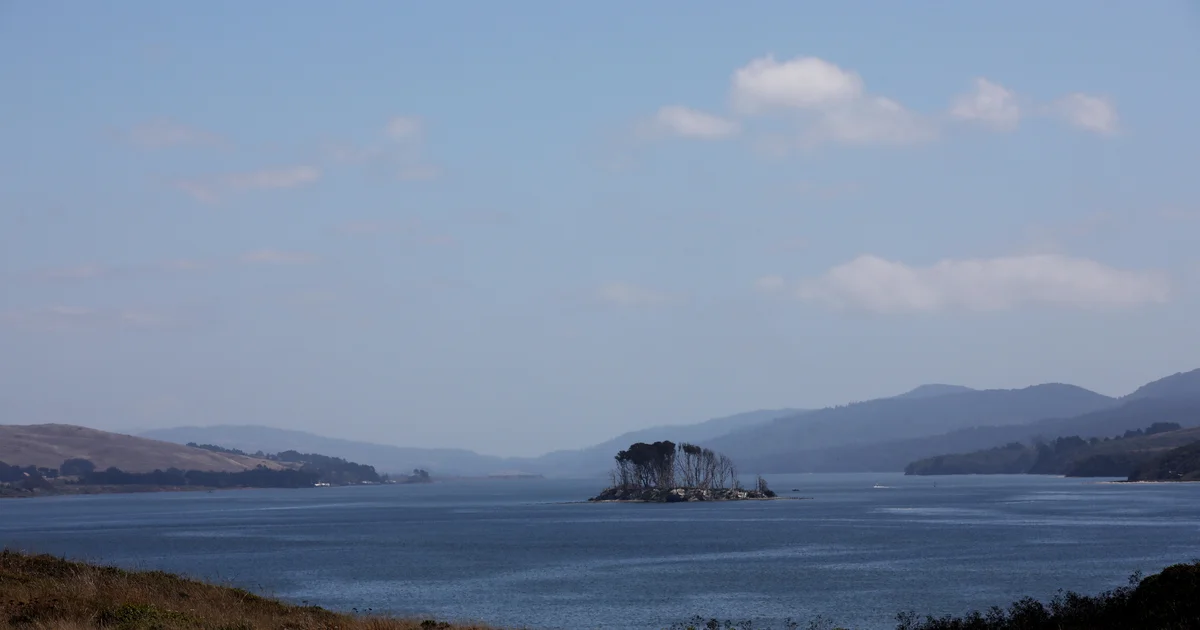 2 canoers found dead in Tomales Bay after not returning from camping trip