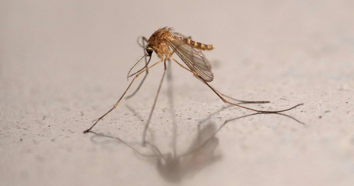 Yolo County reports first human West Nile virus case of 2026