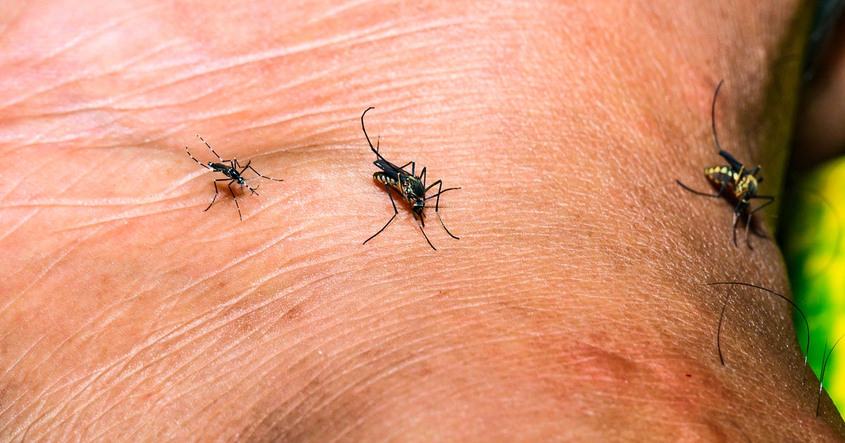 Orange County confirms first human West Nile virus case of 2026