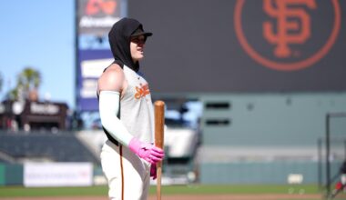 Harrison Bader suspended without pay