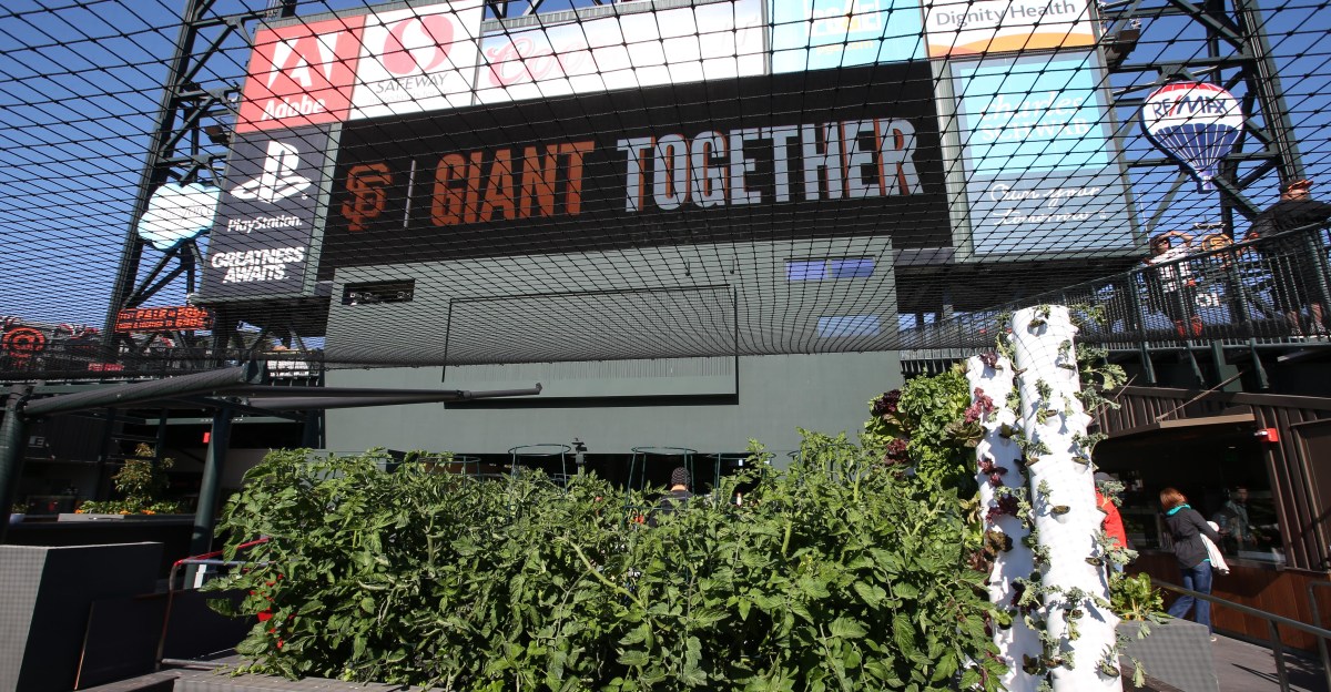 SF Giants Videos: Watch a Puerto Rican team dinner with the Giants
