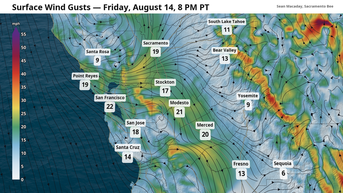 Forecast wind gusts Friday, Aug. 14, at 8 p.m. as a strong Delta breeze pushes well inland. Forecast wind gusts Friday, Aug. 14, at 8 p.m. as a strong Delta breeze pushes well inland.