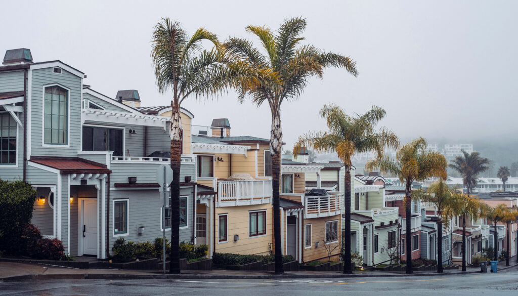 A row of modest modern houses on a rain-slicked, palm-lined street in Morro Bay, California.