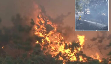 Homeless madman busted for sparking California wine country wildfire as police probe arson scourge