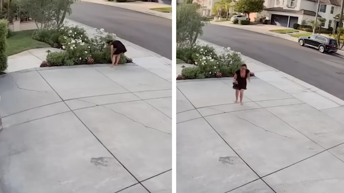 Rattlesnake Bites California Woman While She Stops To Trim Her Roses