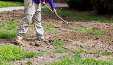 California water customers can get up to $3,000 to rip out grass and replace it with plants