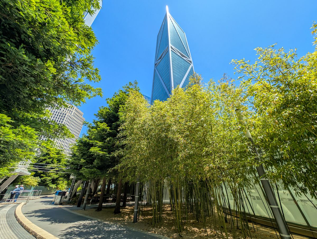 This San Francisco bus terminal hides a rooftop park with 13 ecosystems and free gondola rides