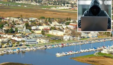 Chaos as California city declares state of emergency after hackers cripple 911 system
