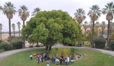 Fresno Unified students lost field trips due to budget cuts. Where did the money go?