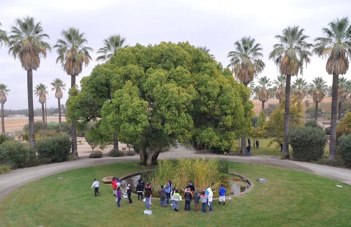 Fresno Unified students lost field trips due to budget cuts. Where did the money go?