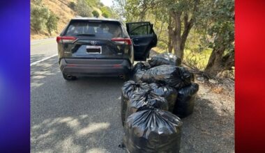 California Driver Caught Speeding With Nearly 500 Pounds of Marijuana Stuffed in SUV