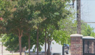 City seeks state grant funding for proposed $16M central Bakersfield urban greening project