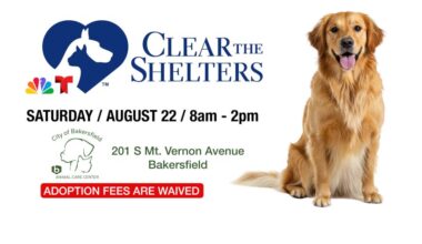 Clear the Shelters event in Bakersfield set for Aug. 22