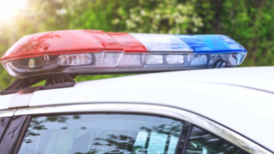 Bakersfield officials arrest 15, seize 1 dog in east Bakersfield ‘quality-of-life’ enforcement Wednesday