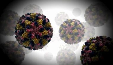 San Francisco health officials report 10 cyclosporiasis cases so far in 2026