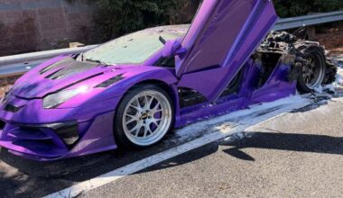 Purple Lamborghini worth $500K torched in San Jose
