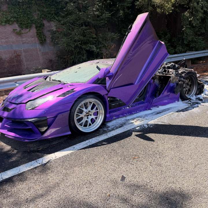 Purple Lamborghini worth $500K torched in San Jose
