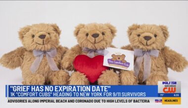 San Diego nonprofit donating 1,000 Comfort Cubs to 9/11 families on 25th anniversary
