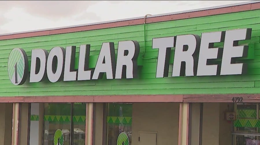 San Diego woman sues Dollar Tree for “gooning” sexual assault incident
