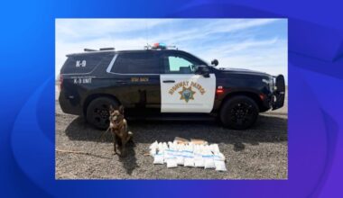K9 sniffs out 45 pounds of meth on California highway, CHP says
