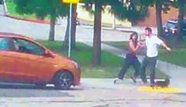 Los Angeles couple walking their dog says angry driver tried to run them over in road rage incident