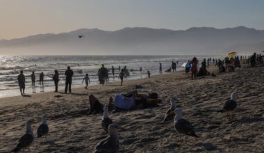 Lopez: Gov. Newsom backs off from shameful gambit, and it's a victory for California coast