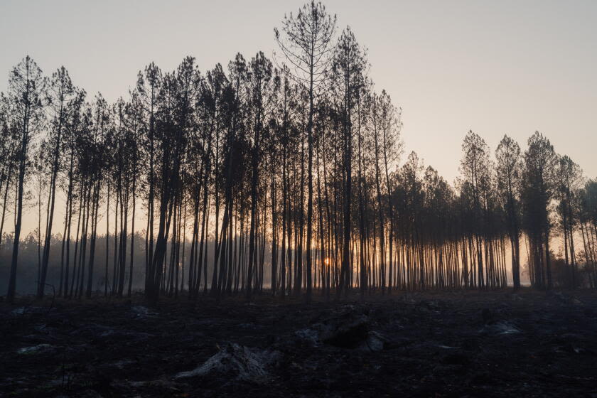 France's wildfire nightmare echoes California's hard lessons on building in the woods
