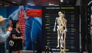 New exhibit to take Sacramento on a trip inside the human body