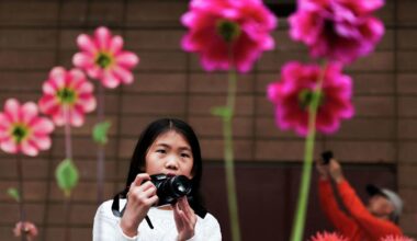 ‘Just mind-blowing': S.F.'s official flower celebrates 100th anniversary with dazzling color